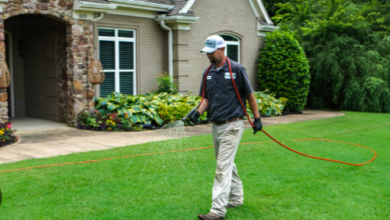 Maximizing Your Lawn's Health with Professional Care